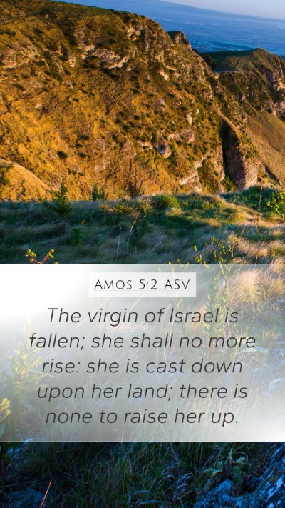 Amos 5:2 ASV Bible Verse Image