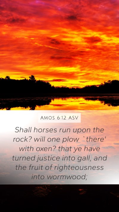 Amos 6:12 ASV Bible Verse Image