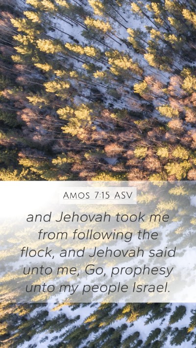 Amos 7:15 ASV Bible Verse Image