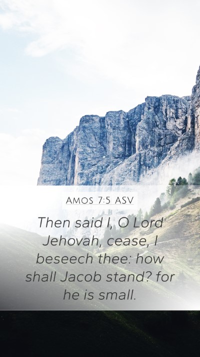 Amos 7:5 ASV Mobile Phone Wallpaper - Then said I, O Lord Jehovah, cease, I beseech - Mobile Bible Verse Wallpaper