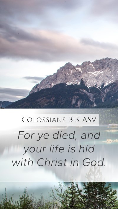Colossians 3:3 ASV Bible Verse Image