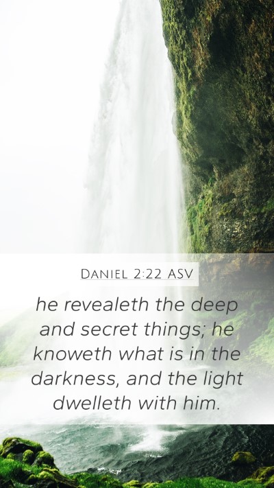 Daniel 2:22 ASV Bible Verse Image