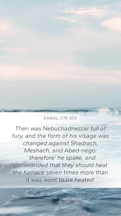 Daniel 3:19 ASV Bible Verse Image