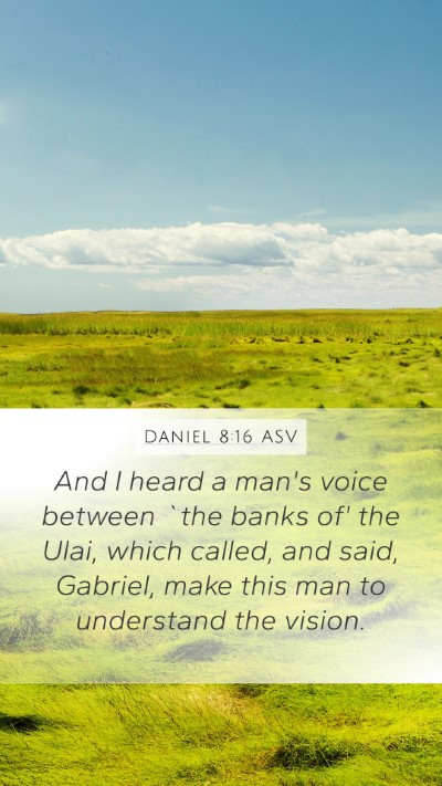 Daniel 8:16 ASV Bible Verse Image