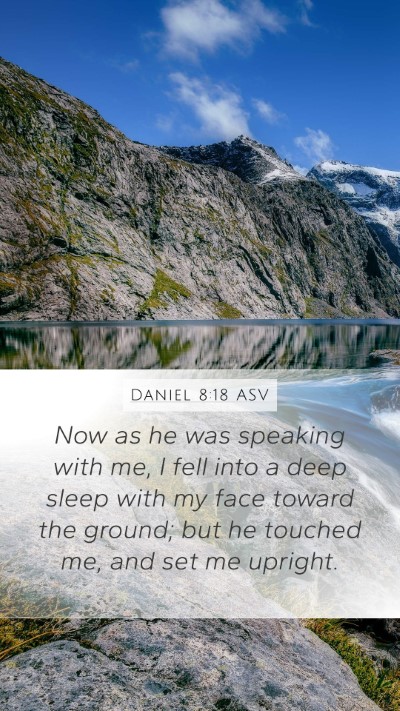 Daniel 8:18 ASV Bible Verse Image