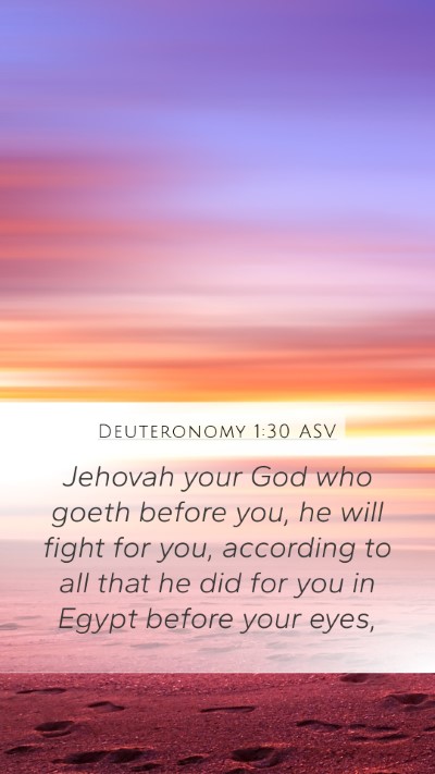 Deuteronomy 1:30 ASV Bible Verse Image