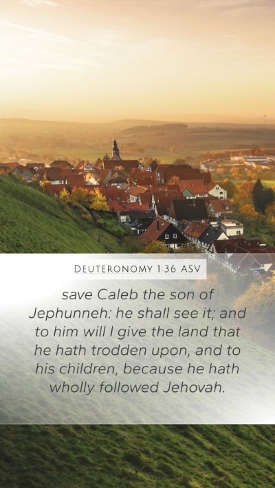 Deuteronomy 1:36 ASV Bible Verse Image