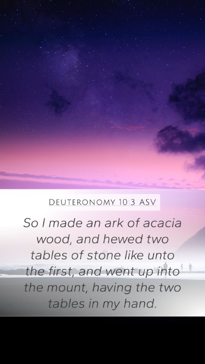 Deuteronomy 10:3 ASV Bible Verse Image