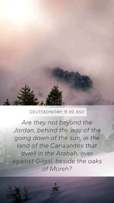 Deuteronomy 11:30 ASV Bible Verse Image