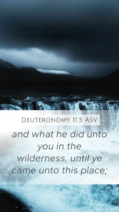 Deuteronomy 11:5 ASV Mobile Phone Wallpaper - and what he did unto you in the wilderness, until - Mobile Bible Verse Wallpaper