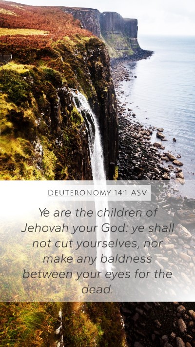 Deuteronomy 14:1 ASV Bible Verse Image