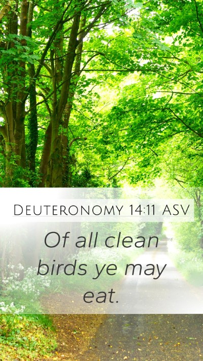 Deuteronomy 14:11 ASV Mobile Phone Wallpaper - Of all clean birds ye may - Mobile Bible Verse Wallpaper