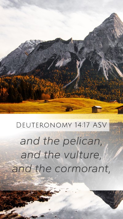 Deuteronomy 14:17 ASV Mobile Phone Wallpaper - and the pelican, and the vulture, and the - Mobile Bible Verse Wallpaper