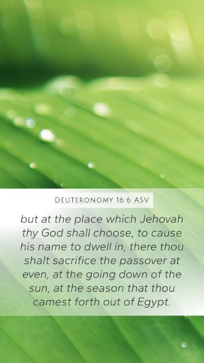 Deuteronomy 16:6 ASV Bible Verse Image
