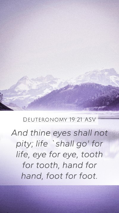 Deuteronomy 19:21 ASV Bible Verse Image