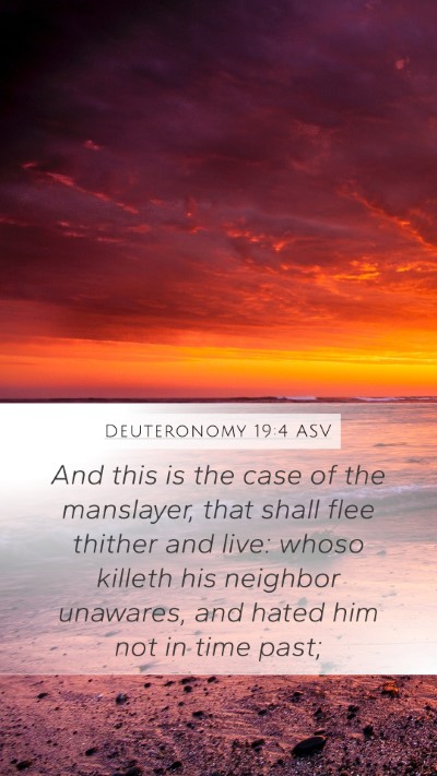 Deuteronomy 19:4 ASV Bible Verse Image