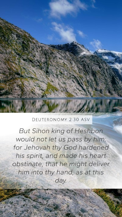 Deuteronomy 2:30 ASV Bible Verse Image