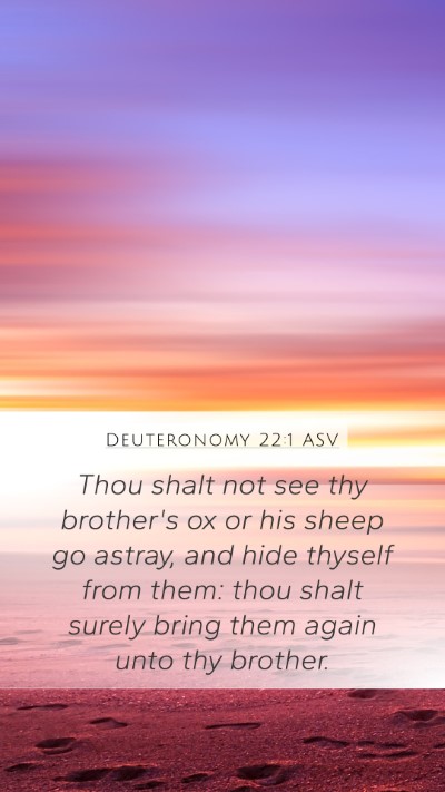 Deuteronomy 22:1 ASV Mobile Phone Wallpaper - Thou shalt not see thy brother's ox or his sheep - Mobile Bible Verse Wallpaper