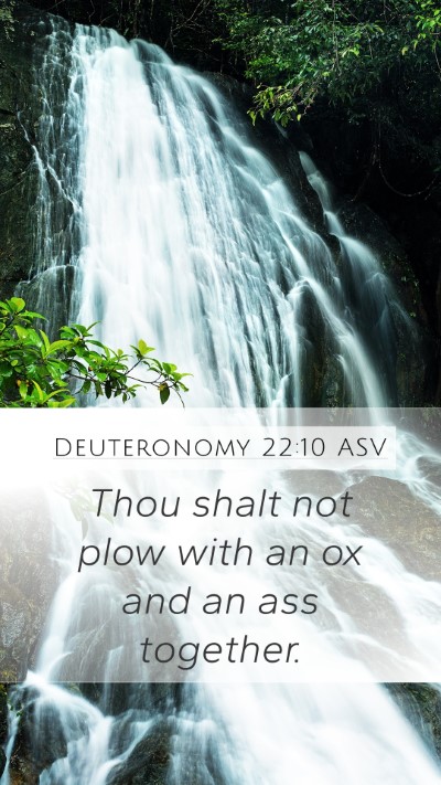 Deuteronomy 22:10 ASV Mobile Phone Wallpaper - Thou shalt not plow with an ox and an ass - Mobile Bible Verse Wallpaper