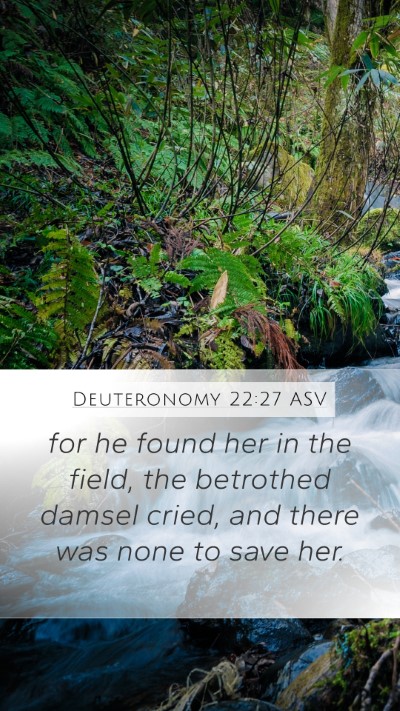 Deuteronomy 22:27 ASV Mobile Phone Wallpaper - for he found her in the field, the betrothed - Mobile Bible Verse Wallpaper