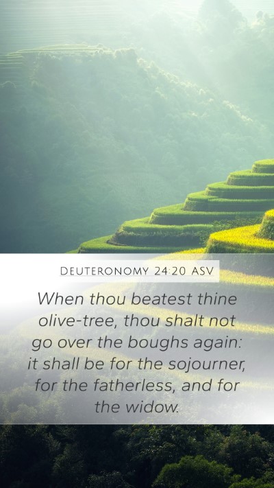Deuteronomy 24:20 ASV Mobile Phone Wallpaper - When thou beatest thine olive-tree, thou shalt - Mobile Bible Verse Wallpaper