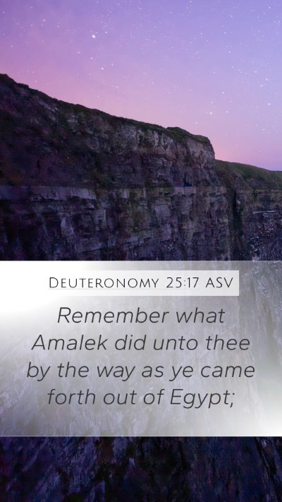 Deuteronomy 25:17 ASV Bible Verse Image