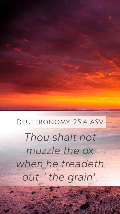 Deuteronomy 25:4 ASV Bible Verse Image