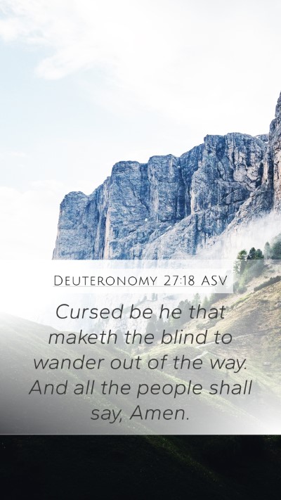 Deuteronomy 27:18 ASV Bible Verse Image