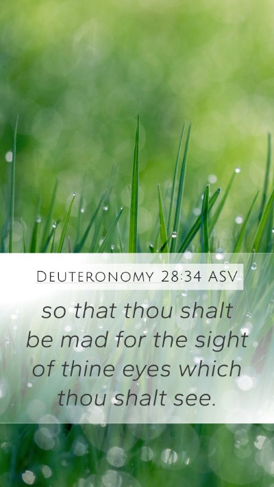 Deuteronomy 28:34 ASV Bible Verse Image