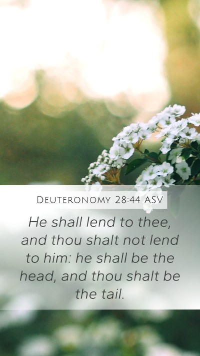 Deuteronomy 28:44 ASV Bible Verse Image