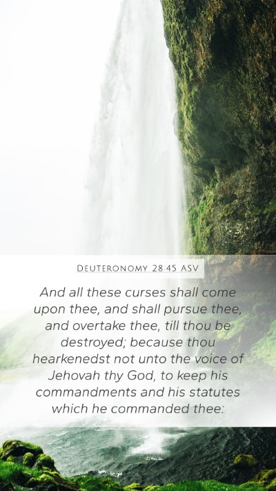 Deuteronomy 28:45 ASV Bible Verse Image