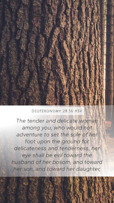 Deuteronomy 28:56 ASV Bible Verse Image