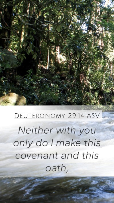 Deuteronomy 29:14 ASV Bible Verse Image