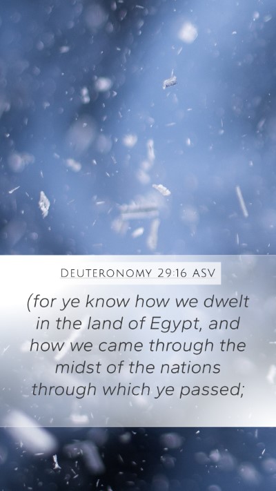 Deuteronomy 29:16 ASV Bible Verse Image