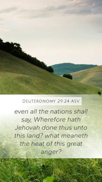Deuteronomy 29:24 ASV Bible Verse Image
