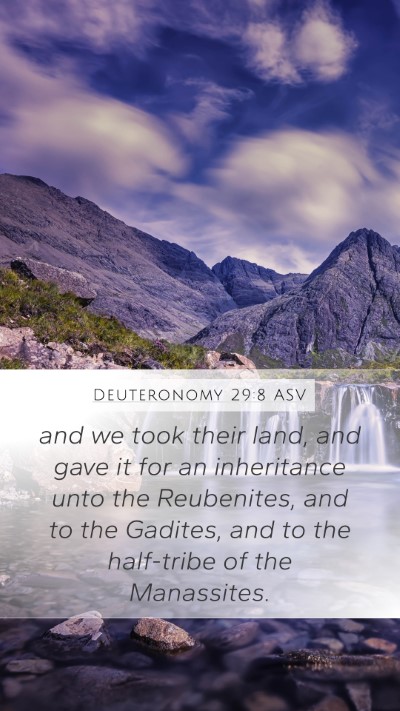 Deuteronomy 29:8 ASV Bible Verse Image