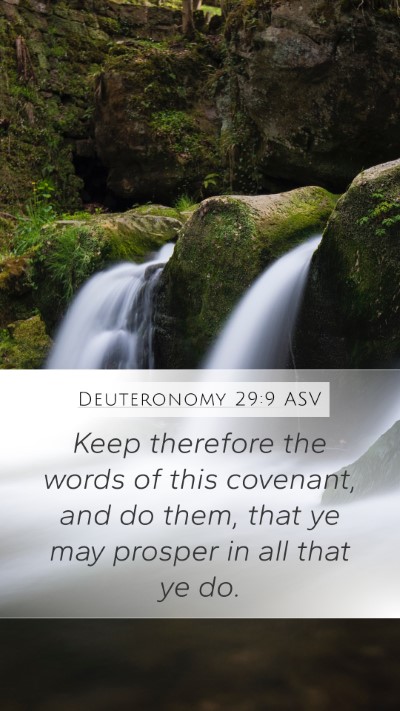 Deuteronomy 29:9 ASV Bible Verse Image