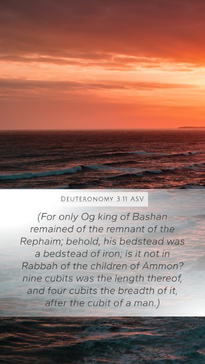 Deuteronomy 3:11 ASV Bible Verse Image