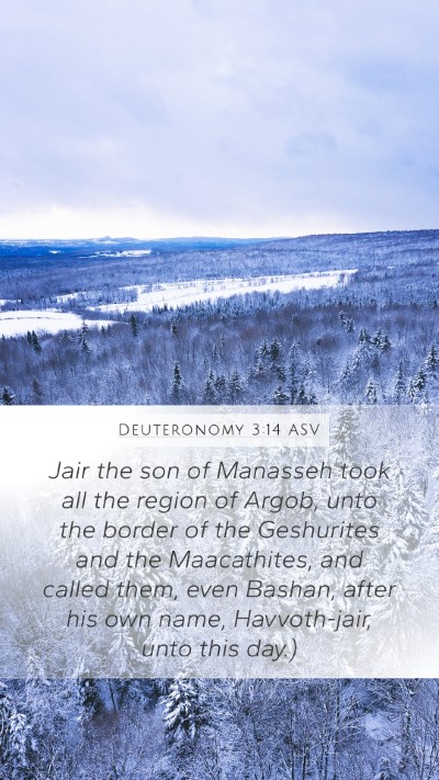 Deuteronomy 3:14 ASV Bible Verse Image