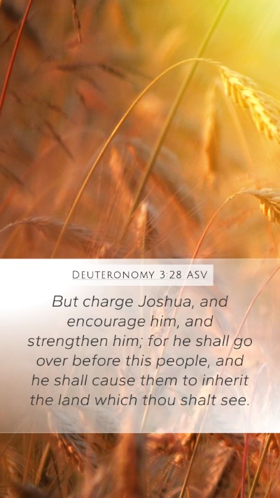 Deuteronomy 3:28 ASV Bible Verse Image