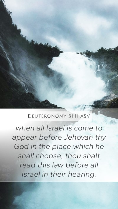 Deuteronomy 31:11 ASV Bible Verse Image