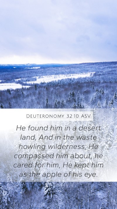 Deuteronomy 32:10 ASV Bible Verse Image