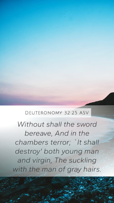 Deuteronomy 32:25 ASV Bible Verse Image