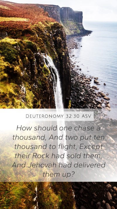 Deuteronomy 32:30 ASV Bible Verse Image
