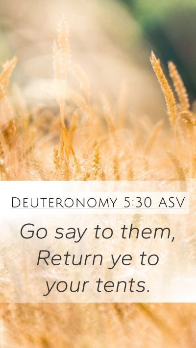 Deuteronomy 5:30 ASV Mobile Phone Wallpaper - Go say to them, Return ye to your - Mobile Bible Verse Wallpaper