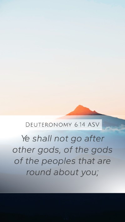 Deuteronomy 6:14 ASV Bible Verse Image