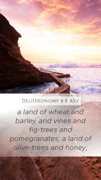 Deuteronomy 8:8 ASV Bible Verse Image