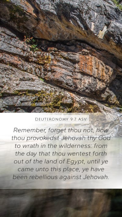 Deuteronomy 9:7 ASV Bible Verse Image
