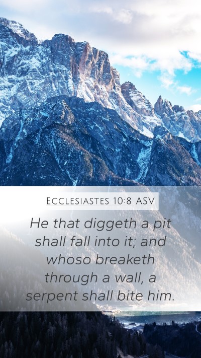 Ecclesiastes 10:8 ASV Bible Verse Image