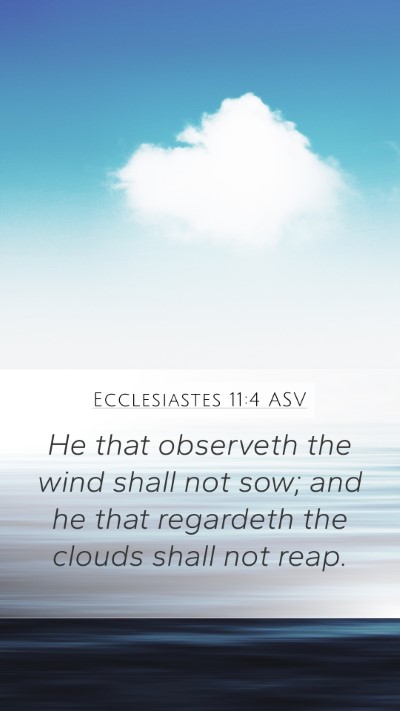 Ecclesiastes 11:4 ASV Bible Verse Image